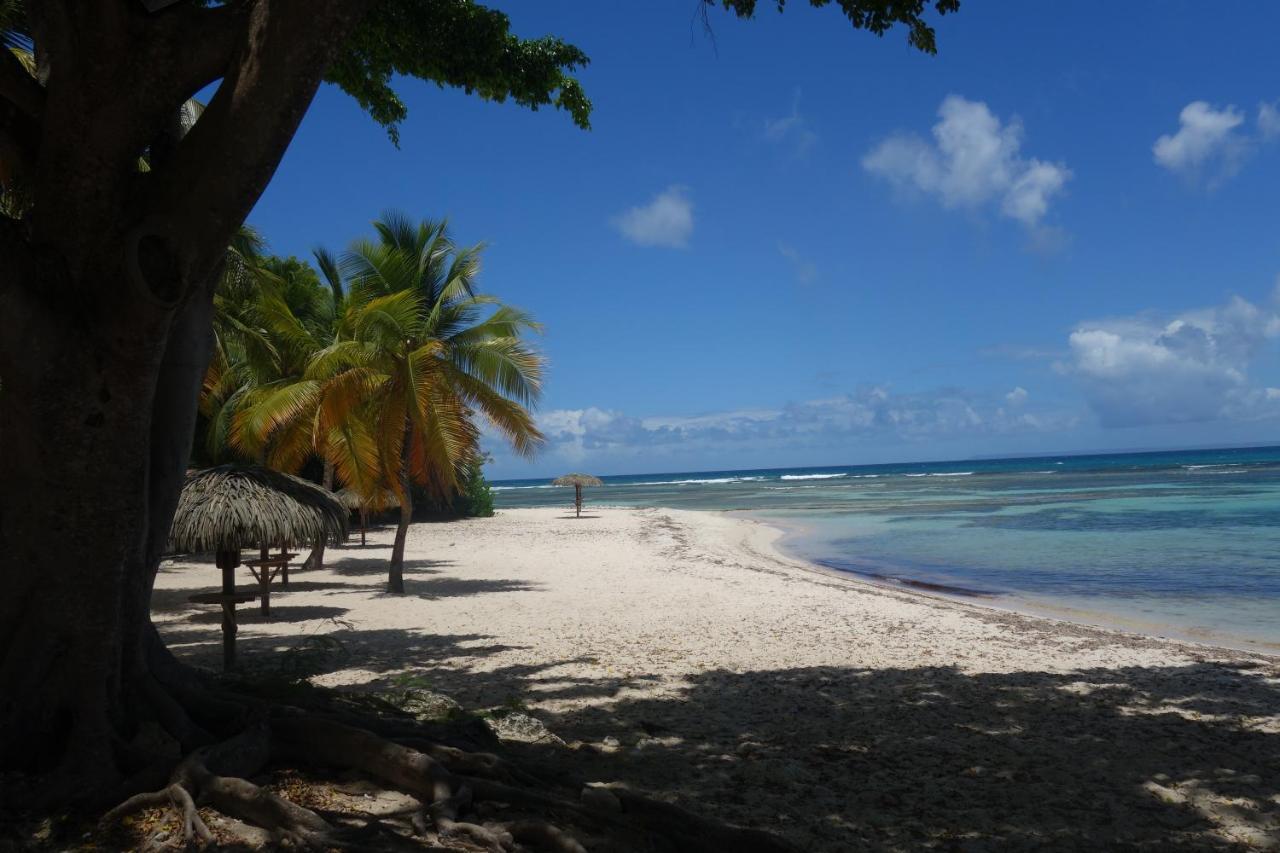 Les Floralies Gwada - avec Cuve à Eau Saint-Francois (Grande-Terre) Exterior foto
